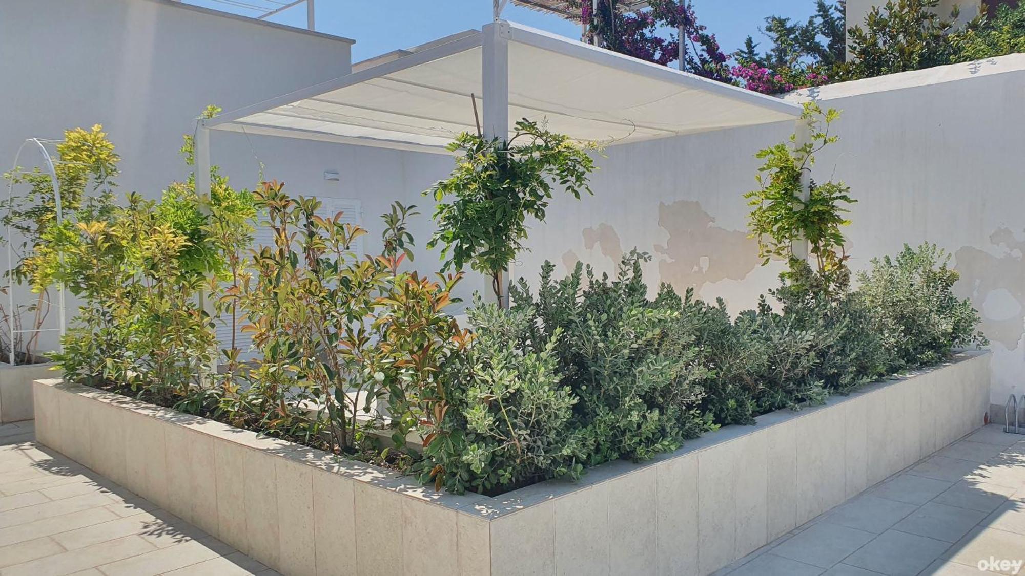 Villa Mediterranea Apartments - Seaview, Pool & Garden Bari Dış mekan fotoğraf